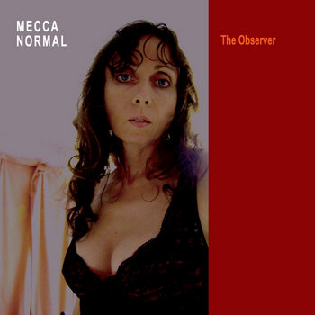 The Observer cover art