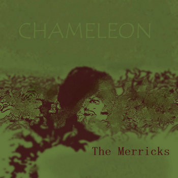 Chameleon cover art