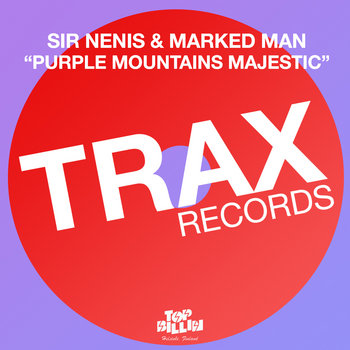 Purple Mountains Majestic cover art