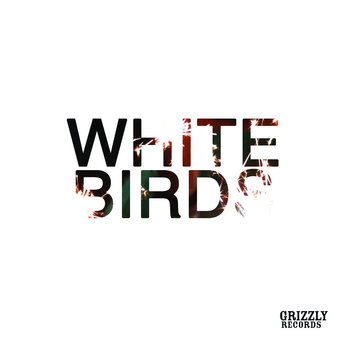 WHITE BIRDS cover art