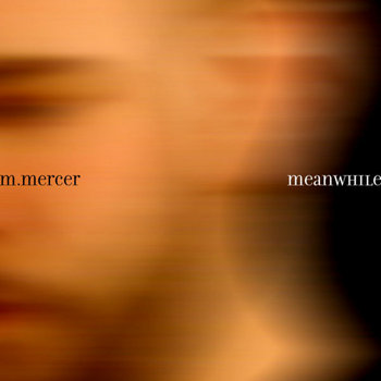 Meanwhile cover art