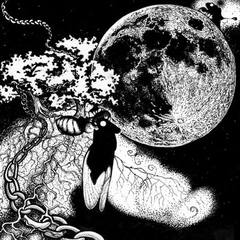 Terraforms cover art