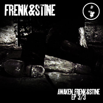 Awaken Frenk&Stine EP3/3 cover art