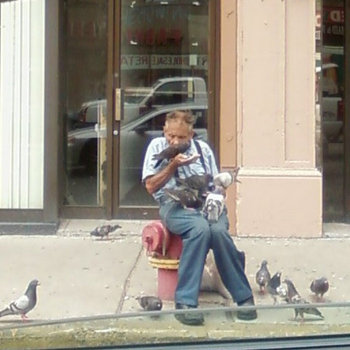I Will Raise A Bird Army cover art
