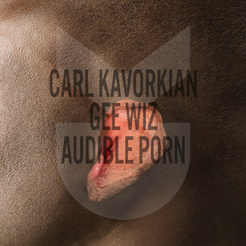 Audible Porn cover art