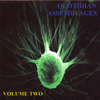 Quotidian Assemblages Vol. 2 cover art