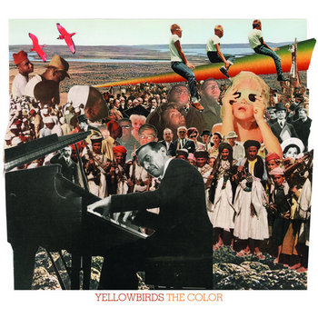 The Color cover art