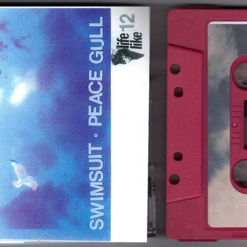 Peace Gull cover art