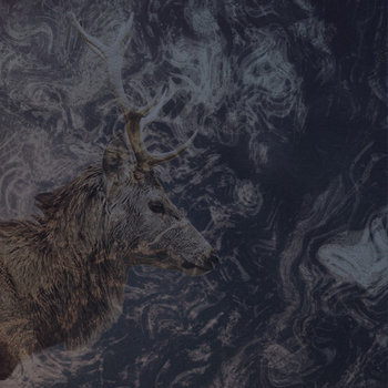 Lost In Taiga cover art