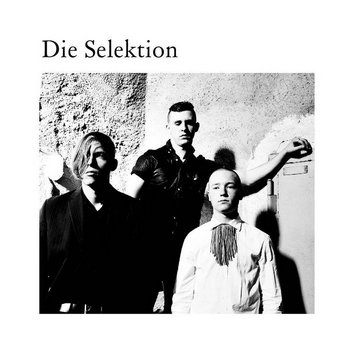 Die Selektion cover art