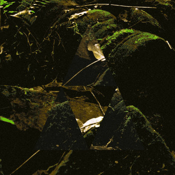 Forest Temples EP cover art