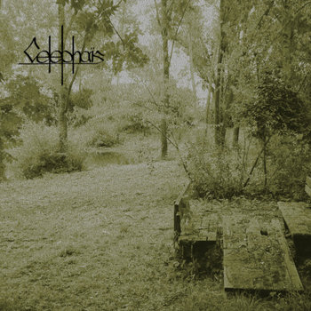 Tir n'a n'Og cover art