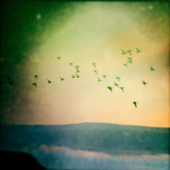 Afar, Farewell cover art