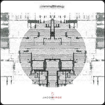 Symmetric Strategy SS2013 cover art