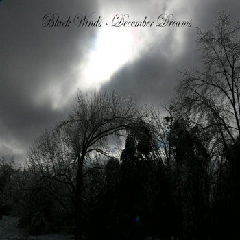 Black Winds - December Dreams cover art