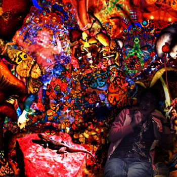 log!cmushroom cover art