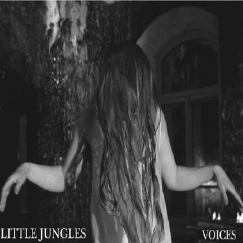 Voices cover art