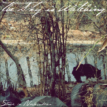 The Sky Is Watching cover art