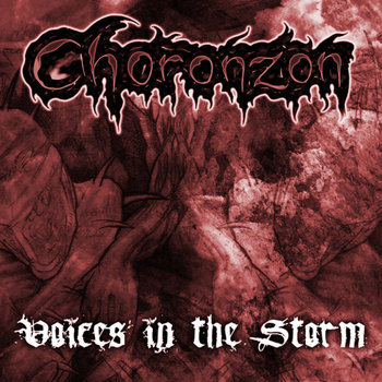 Voices In The Storm cover art