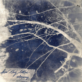 How They Looked Sleeping (a collection of short stories) cover art