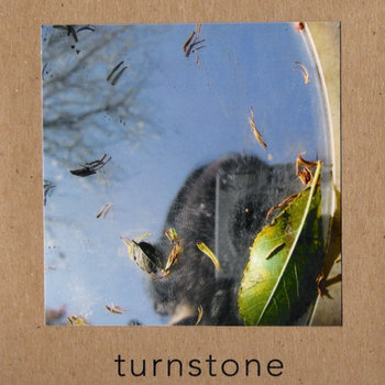 Turnstone cover art