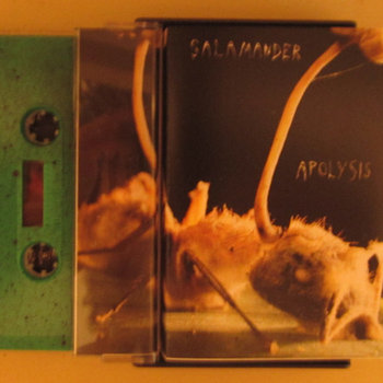 APOLYSIS cover art