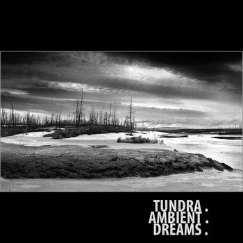 Ellipsis: Tundra.Ambient.Dreams. cover art