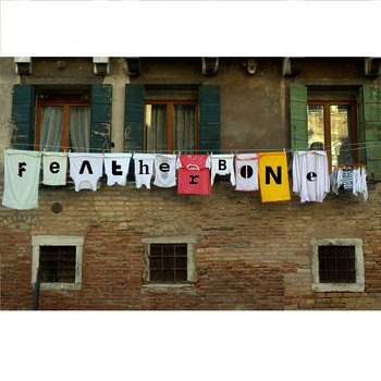FeatherBone cover art