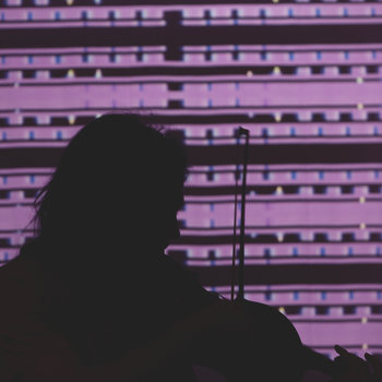SLTM: LIVE & MISC cover art