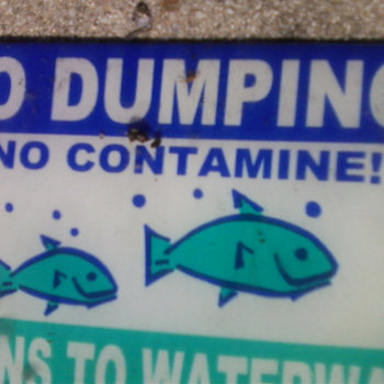 No Dumping cover art