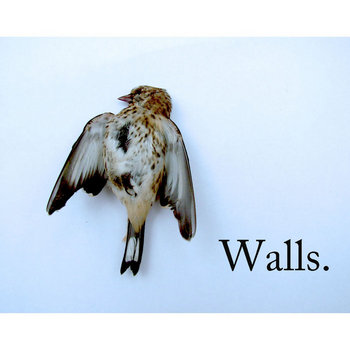 Walls cover art
