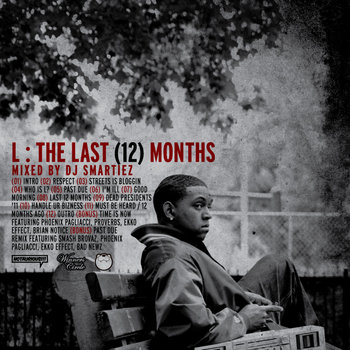 The Last 12 Months cover art