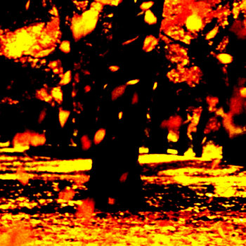 Ember cover art