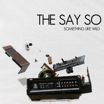 Something Like Wild cover art
