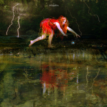 Wanderer cover art