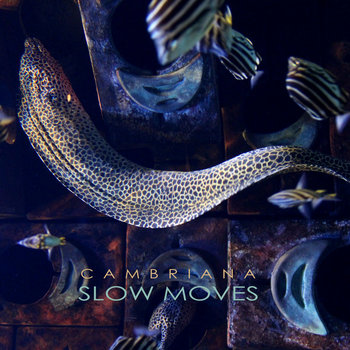 Slow Moves Single cover art