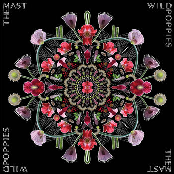 Wild Poppies cover art