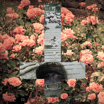 NIHL cover art