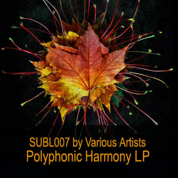 VA - Polyphonic Harmony LP (SUBL007) cover art