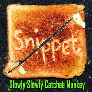 Slowly Slowly Catchee Monkey cover art