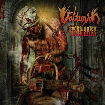 VULTURYON - Coordinated Mutilation cover art