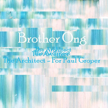 The Architect For Paul Groper cover art