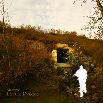 Electric Dyslexic cover art