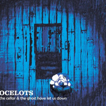 The Cellar & the Ghost Have Let Us Down cover art