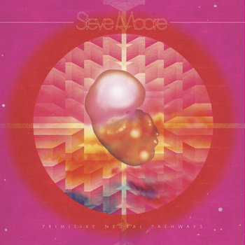VCO 003 Primitive Neural Pathways cover art