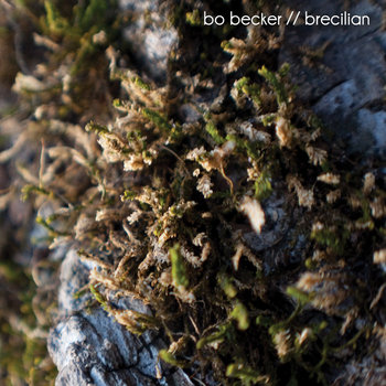 Brecilian cover art