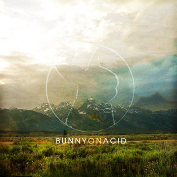 Bunny On Acid cover art
