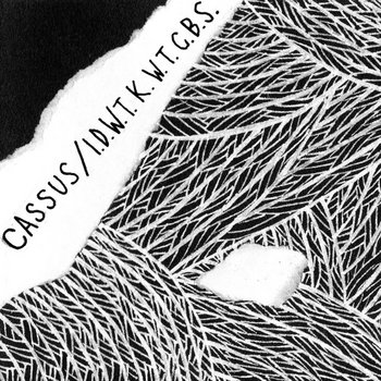 Cassus/I Don't Want To Know Why The Caged Bird Sings split cover art