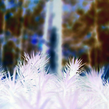 Tree No Leaves cover art