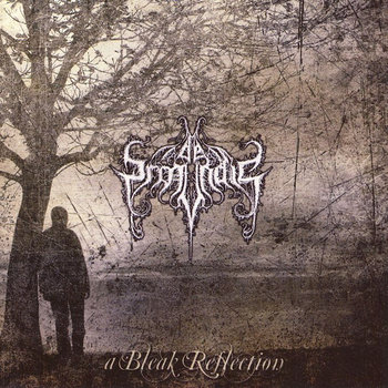 A Bleak Reflection cover art
